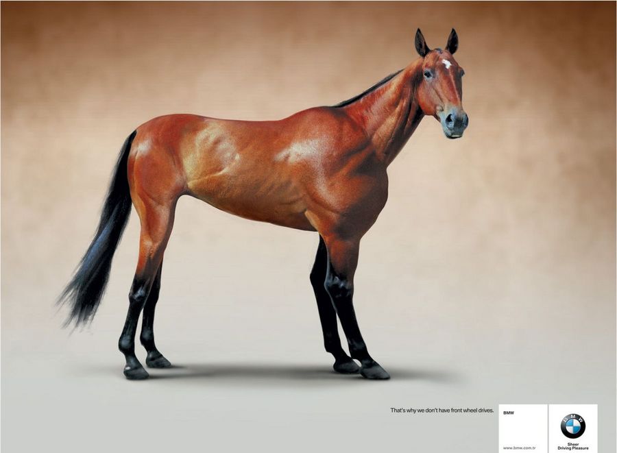 Name:  horse.jpg
Views: 5043
Size:  47.7 KB