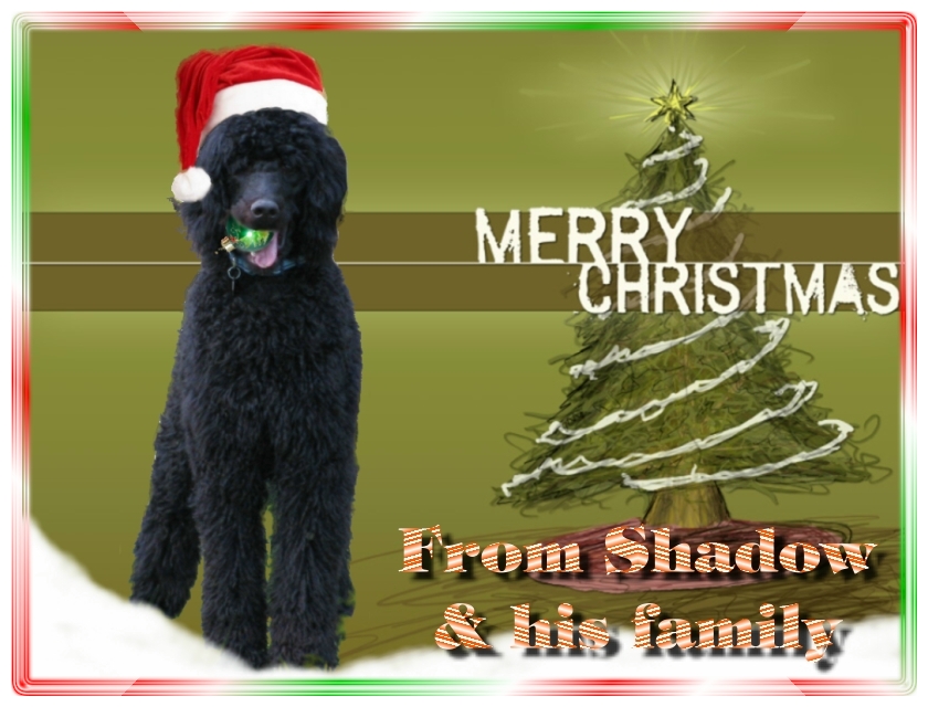 Name:  shadow-christmas-card-3.jpg
Views: 34650
Size:  291.5 KB